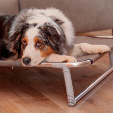 Лажак - розкладка для собак Ferplast Dream (Ферпласт Дрім) 105 х 63 x 7 см - 100