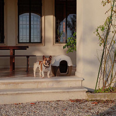 Будка для собак Ferplast Kenny (Ферпласт Кенні) 50 х 78 x 50 см - KENNY 01