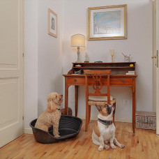 Пластиковый лежак для собак и кошек Ferplast Siesta Deluxe (Ферпласт Сиеста Делюкс) 70.5 х 52 х h 23.5 см - 6, Белый