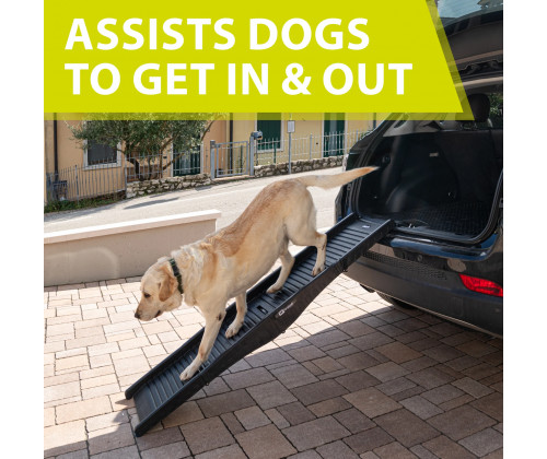 Пандус для собак Ferplast Dog Ramp (Ферпласт) до 50 кг складной