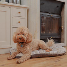 Подушка — м'яке місце для собак і кішок Ferplast Scott 78/8 (Ферпласт Скот 78/8)