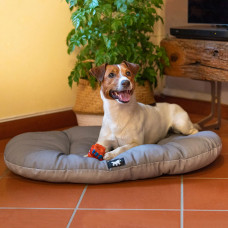 Подушка для собак и кошек с антибактериальной обработкой Ferplast Relax С Sanitized (Ферпласт Релакс Санитайз) 65 x 42 cм - 65/6