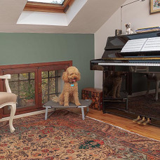 Лежак — розкладачка для собак Ferplast Dream (Ферпласт Дрім)