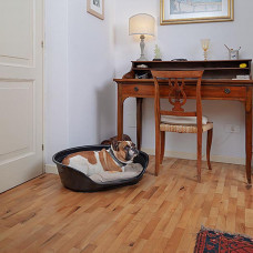 Пластиковый лежак для собак и кошек Ferplast Siesta Deluxe (Ферпласт Сиеста Делюкс) 70.5 х 52 х h 23.5 см - 6, Белый