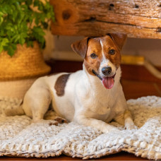 Коврик-подстилка для собак  и котов Ferplast Vanilla (Ферпласт Ванилла)