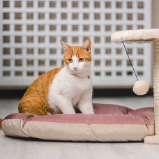 Подстилка-подушка для собак и кошек Ferplast Prince 65/6 (Ферпласт Принц 65/6) Розовый