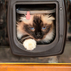 Врізні дверцята для кішок із системою зчитування мікрочипів Ferplast Swing Microchip (Ферпласт Свинг Мікрочип)