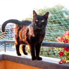 Защитная сетка на балкон для котов Ferplast Cat Net (Ферпласт Кет Нет) 400 x h 300 cм - М