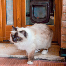 Врізні дверцята для кішок із системою зчитування мікрочипів Ferplast Swing Microchip (Ферпласт Свинг Мікрочип)