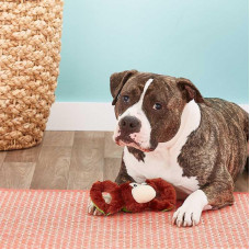 Jolly Pets TUG-A-MAL Monkey Dog (Джоллі Пейс) м'яка іграшка для собак для перетягування Мавпа з пискавкою