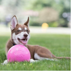 Jolly Pets BOUNCE-N-PLAY (Джоллі Пейс Баунс-н-Плей) іграшка м'яч для собак