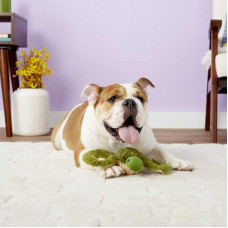 Jolly Pets TUG-A-MAL Turtle Dog (Джоллі Пейс) м'яка іграшка для собак для перетягування Черепаха з пискавкою