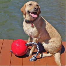 Jolly Pets ROMP-N-ROLL (Джоллі Пейс Ромп-н-Ролл) іграшка м'яч із мотузкою для собак