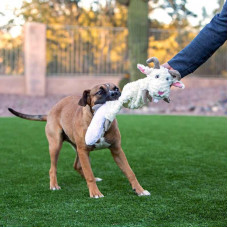 Jolly Pets FAT TAIL Goat Bili (Джоллі Пейс) м'яка іграшка для собак Козлик Біллі з пискавкою