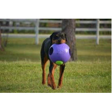 Jolly Pets Teaser Ball (Джоллі Петс Тізер Болл) іграшка м'яч подвійний для собак Великий - 30 см, Фіолетовий