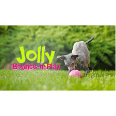 Jolly Pets BOUNCE-N-PLAY (Джоллі Пейс Баунс-н-Плей) іграшка м'яч для собак