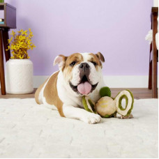 Jolly Pets TUG-A-MAL Turtle Dog (Джоллі Пейс) м'яка іграшка для собак для перетягування Черепаха з пискавкою