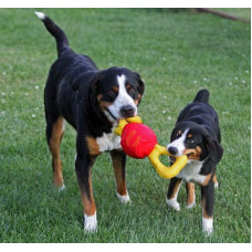 Jolly Pets JOLLY TUG (Джоллі Пейс Джоллі Таг) м'яка іграшка — пискавка для собак для перетягування