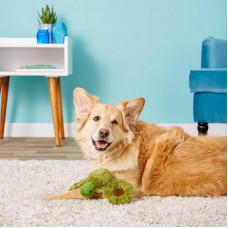 Jolly Pets TUG-A-MAL Turtle Dog (Джоллі Пейс) м'яка іграшка для собак для перетягування Черепаха з пискавкою