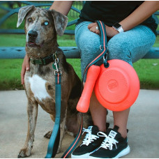 Іграшка для собак міцна гантель із карабіном Dexas Off-Leash (Дексас Оф Ліш)