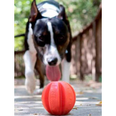 Іграшка для собак м'яч з карабіном і з схованкою для ласощів Dexas Off-Leash (Дексас Оф Ліш)