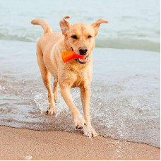 Іграшка для собак суперпростільна кістка з отворами для ласощів Bionic Opaque Bone (Біоник Опак Боне) Оранжевий