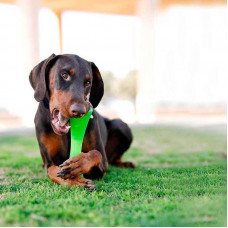 Іграшка для собак суперміцна кістка гантель із нішами для ласощів Bionic Opaque Stick (Біонік Опак Стик)