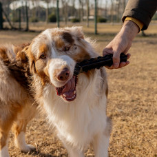 Жевательная игрушка кость с отверстиями для корма  для собак Ferplast Smile Bone (Ферпласт Смайл Бон) Черный