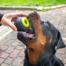 Игрушка мяч для собак с тайником для корма Ferplast Chewa Boing (Ферпласт Чева Боинг)