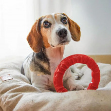 Жувальна іграшка для собак з кристалами бікарбонат Ferplast Smile (Ферпласт Смайл) use 12 x 2,4 cm - S, Червоний