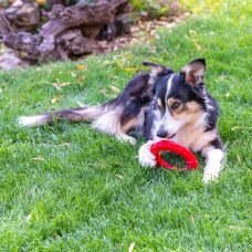 Жувальна іграшка для собак з кристалами бікарбонат Ferplast Smile (Ферпласт Смайл) use 16 x 3,2 cm - M, Чорний