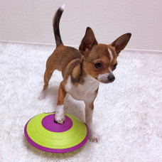 Интерактивная игрушка головоломка Лабиринт для лакомств для собак Nina Ottosson Treat Maze (Нина Оттоссон)