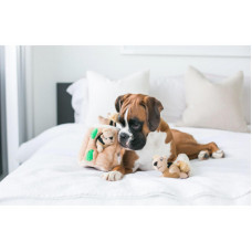 Інтерактивна іграшка для собак прятки схованок з білками Outward Hound Hide-A-Squirrel (Аутворд Хаунд)