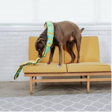 Іграшка пискавка для собак Непереможна змія Outward Hound Invincibles Snakes (Аутворд Хаунд)