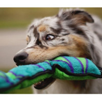 Іграшка пискавка для собак Непереможна змія Outward Hound Invincibles Snakes (Аутворд Хаунд)