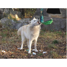 Іграшка пискавка для собак Непереможна змія Outward Hound Invincibles Snakes (Аутвард Хаунд) Блакитний, LG: 10.16 х 62 см - 3 пискавки