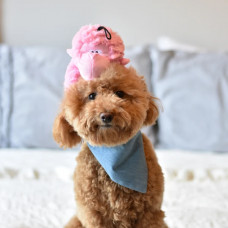 Игрушка для собак Patchwork Pet Gorilla (Пэчворк Пэт Горилла) 220