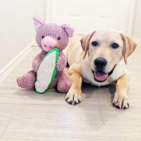 Игрушка для собак Patchwork Pet Maizey the Pig (Пэчворк Пэт Свинка Мэйзи)