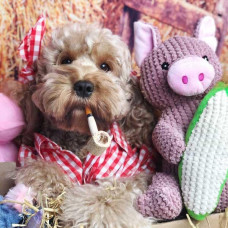 Игрушка для собак Patchwork Pet Maizey the Pig (Пэчворк Пэт Свинка Мэйзи)