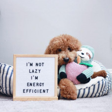 Игрушка для собак Patchwork Pet Sydney the Sloth (Пэчворк Пэт Ленивец Сидней)