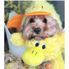 Игрушка для собак Patchwork Pet Platypus (Пэчворк Пэт Утконос)