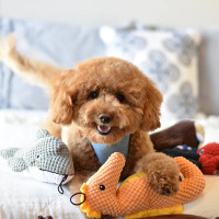 Іграшка для собак Patchwork Pet Seahorse (Печворк Пт Морський коник)