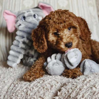 Игрушка для собак Patchwork Pet Ellie Elephant (Пэчворк Пэт Слон Элли)