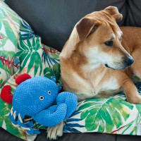 Іграшка для собак Patchwork Pet Crab (Печворк Пет Краб) 380