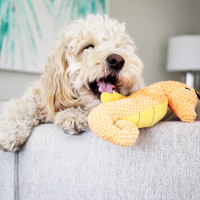 Іграшка для собак Patchwork Pet Seahorse (Печворк Пт Морський коник)