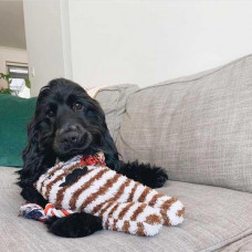 Іграшка для собак Patchwork Pet Gus Greybar (Печворк Паль Гас Грейбар)