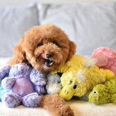 Игрушка для собак Patchwork Pet Platypus (Пэчворк Пэт Утконос)