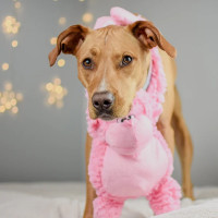 Іграшка для собак Patchwork Pet Gorilla (Печворк Пет Горілла) 220 