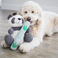 Іграшка для собак Patchwork Pet Reed The Panda (Печворк Паль Рід Панда)