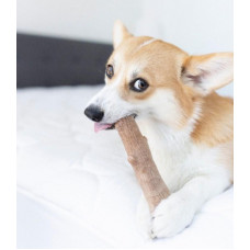 Іграшка для собак Міцна гілка 21 см Petstages Dogwood Stick (Петстеджес Доґвуд Стик)